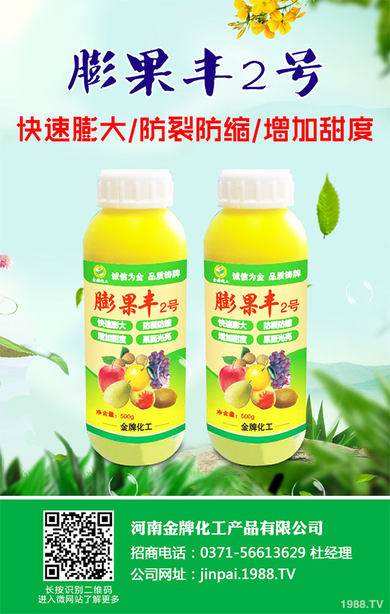     黑櫻桃該如何栽培？怎樣管理？黑櫻桃高產(chǎn)栽培管理技術(shù)