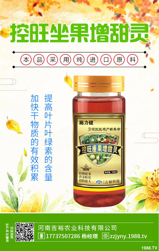 沙田柚種植需滿(mǎn)足哪些條件？沙田柚的種植方法有哪些？