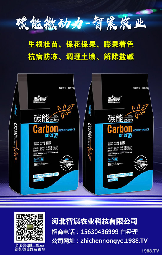 ���ϵ�������ԣ�����ʩ���Ľ�����