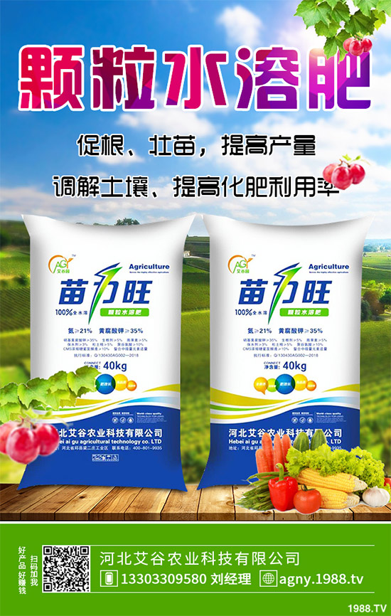 黑番茄有哪些營養(yǎng)價(jià)值？功效作用有哪些？黑番茄的功效作用及種植前景