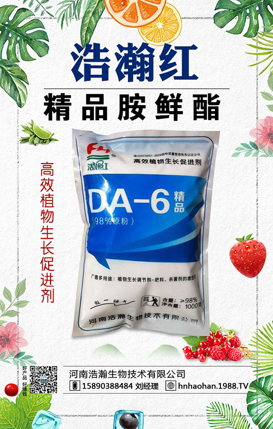 西紅柿摘葉常見(jiàn)誤區(qū)有哪些？西紅柿摘葉技巧！