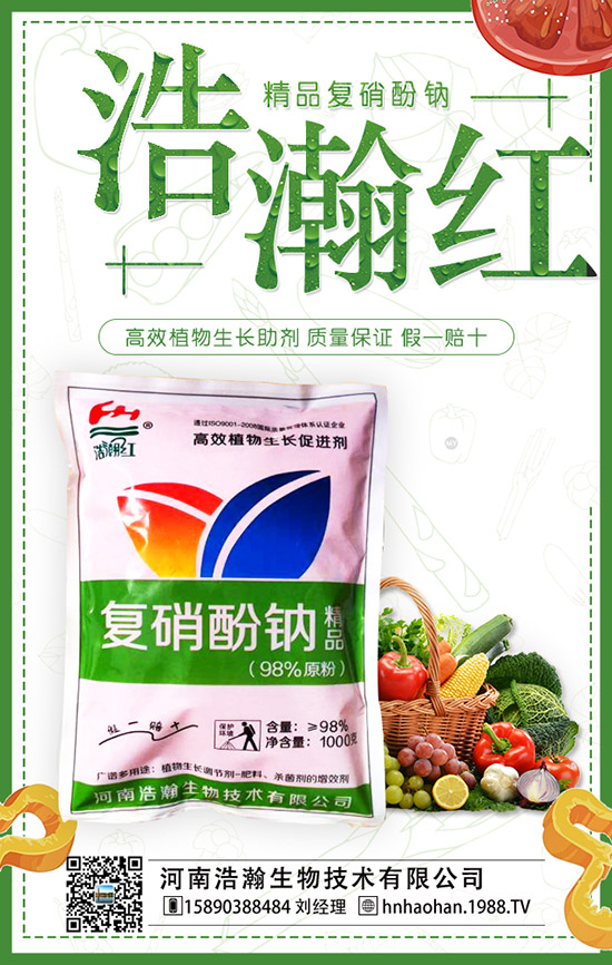 番茄什么時(shí)間種植，番茄種植技術(shù)及管理要點(diǎn)！