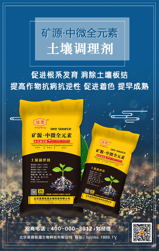 黑芝麻什么時間種植？黑芝麻栽培技術要點！