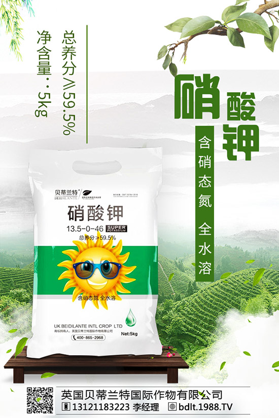 番茄空心果是怎么回事？如何做可以避免番茄空心？