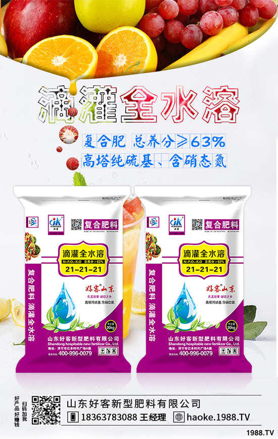 馬鈴薯該如何增產(chǎn)？六大技術(shù)助力馬鈴薯增產(chǎn)提質(zhì)（值得收藏！）