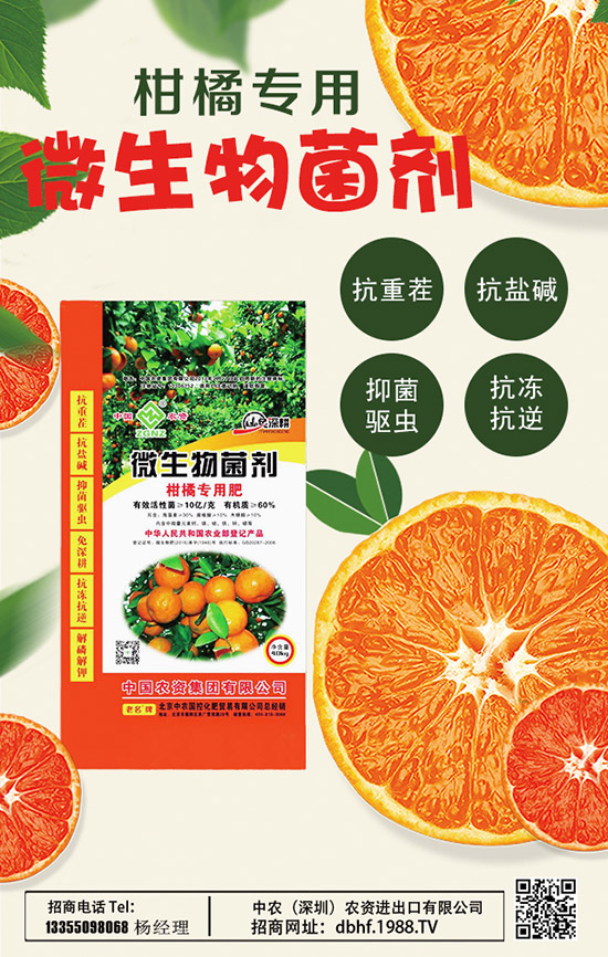     2020山藥價(jià)格多少錢(qián)一斤？種植前景如何？山藥種植高產(chǎn)管理技術(shù)！