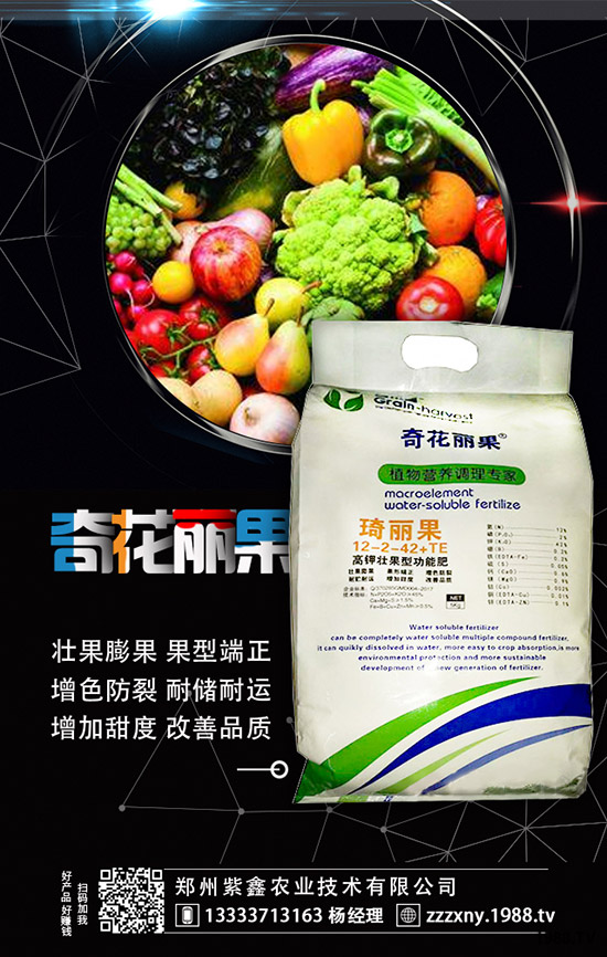 草莓母苗定植后怎樣施肥？怎樣澆水？