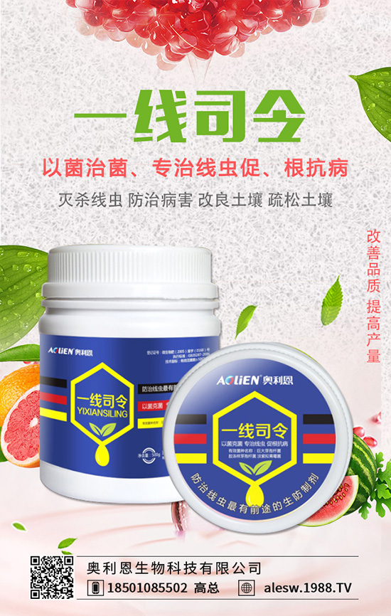 金錢草怎么養(yǎng)？金錢草養(yǎng)殖方法有哪些？