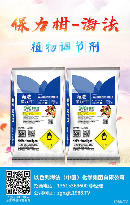     玉木耳種植賺錢么？玉木耳如何栽培？玉木耳栽培技術(shù)及種植效益成本！