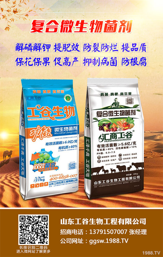 茼蒿什么時(shí)候種植比較好？該如何種植？茼蒿的種植時(shí)間及種植技術(shù)