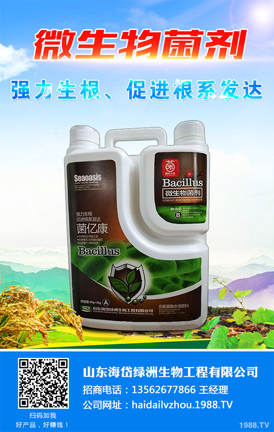 茼蒿該施什么肥料？如何施肥？聊聊茼蒿施肥那些事兒！