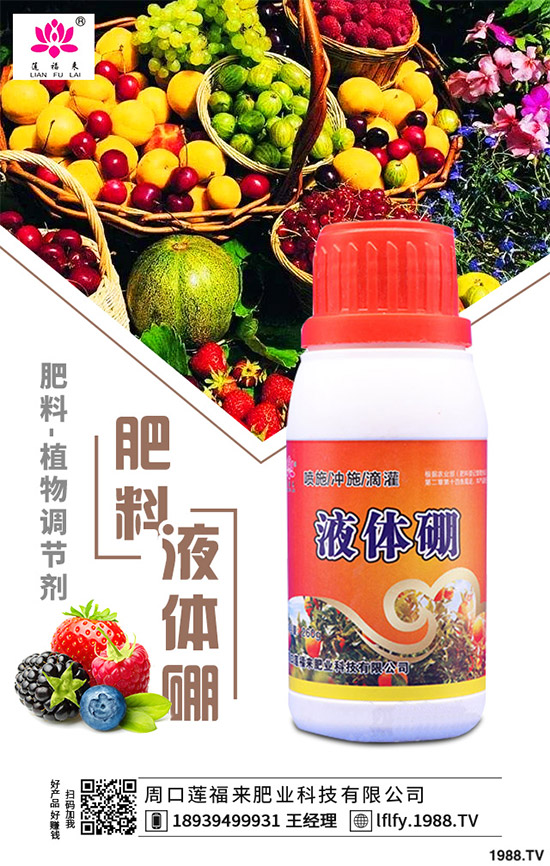 決明子有哪些神奇功效？種植決明子能掙錢嗎？2020決明子種植前景分析