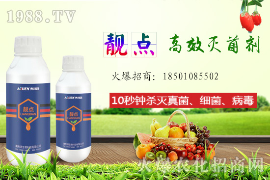 ����Ƭ��ʲô�������ԙ�����ʲô��̎��