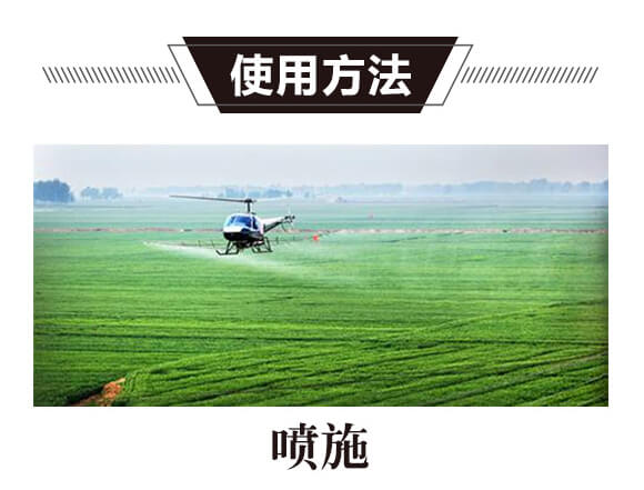 碳?xì)浜朔?紅藻門-碳?xì)鋰H_05