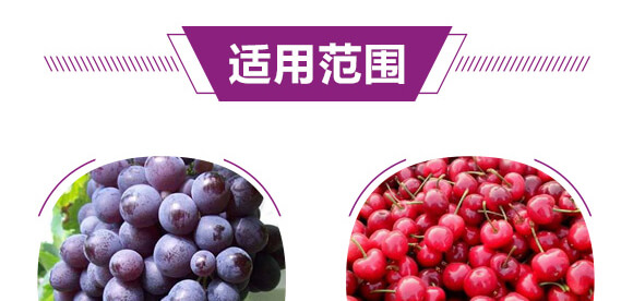 硫酸鉀型復(fù)合肥料12-8-28-金四元膨果肥-中農(nóng)化_06