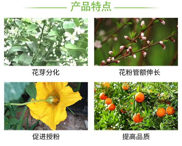 潰腐專用微生物菌劑-菌醫(yī)稼-奧萊斯_04