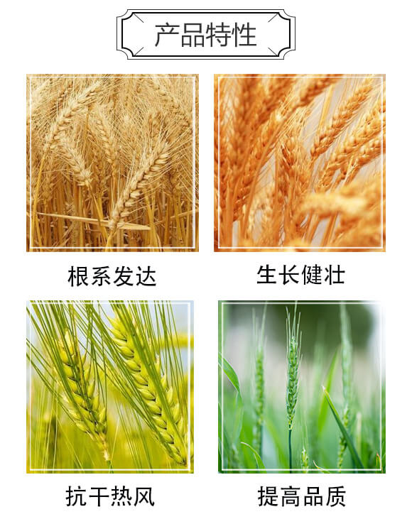 С������ȫ�����S��-���_03