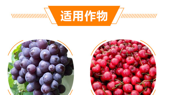 20%敵草快-常見(jiàn)-金石化工_07