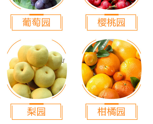 20%敵草快-常見(jiàn)-金石化工_08