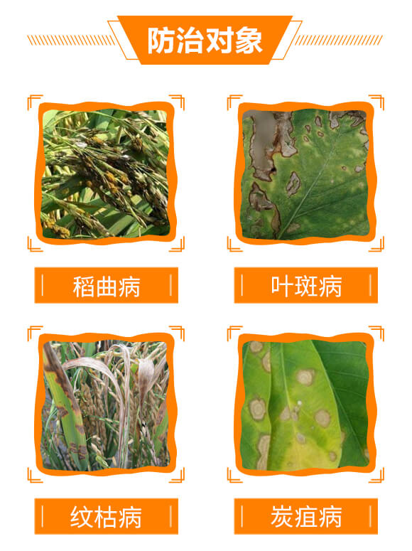 300克每升苯醚·丙環(huán)唑-生之藍(lán)-生農(nóng)世澤_05