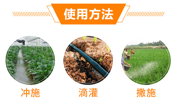 根結(jié)線蟲(chóng)高效處理劑-益佐益佑_07