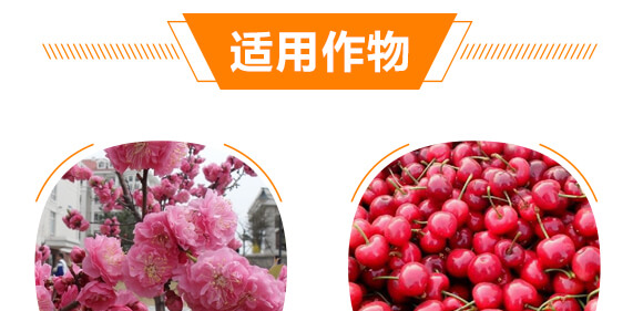 ����Ԫ��ˮ�ܷ���10-35-10+TE+C-�֠���(y��u)_09