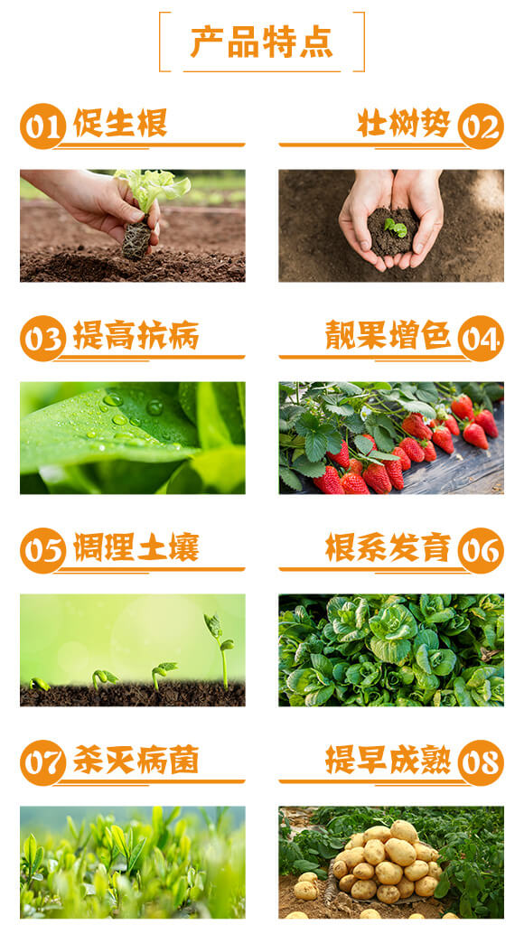 10�|���̼ø��΢�������-Ȫ�����_03
