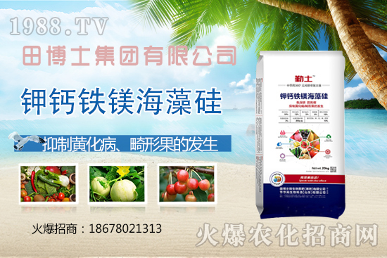 花生重茬會產(chǎn)生哪些影響？如何解決花生重茬問題？