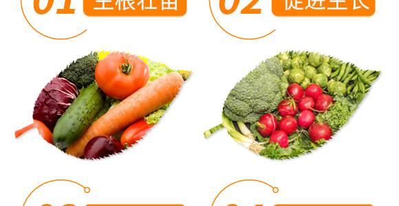 番茄專用紅滿架-麗美澤-中農(nóng)恒大_06