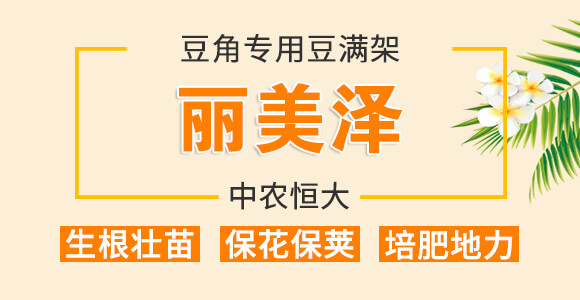 豆角專用豆?jié)M架-麗美澤-中農(nóng)恒大_01