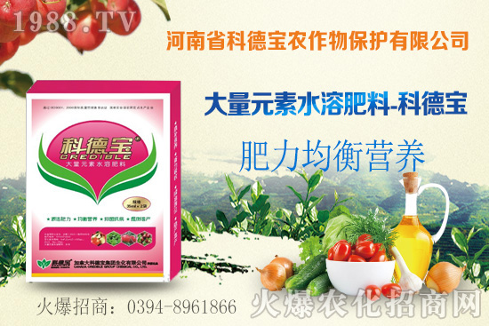 荔枝什么時間成熟？荔枝的貯運方法有哪些？