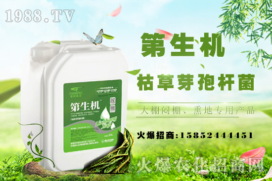 桃樹嫁接常用工具，桃樹嫁接后注意事項(xiàng)！