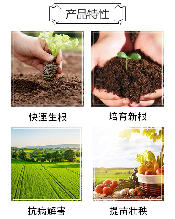 桶裝天然強力生根劑-貝利奧·根-海拉維_03