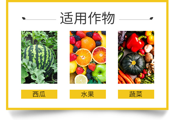 �W˹�D����Ƽ����޹�˾_02