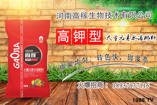小香蔥種植環(huán)境有什么要求？夏季種植小香蔥的技巧！