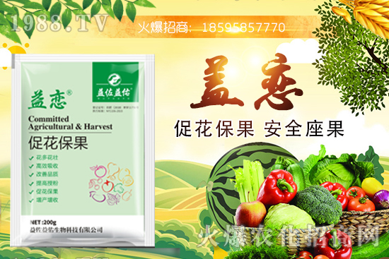 ��֦�ĠI�B(y��ng)�ɷ�����Щ����֦�ܶ�Ԇ��������m����Ⱥ��