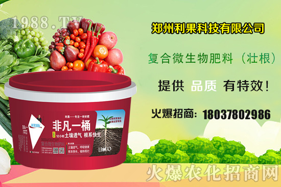 2020��Nֲ����ٍ�X�᣿�Nֲǰ�����������һ���خa(ch��n)���ж��٣�