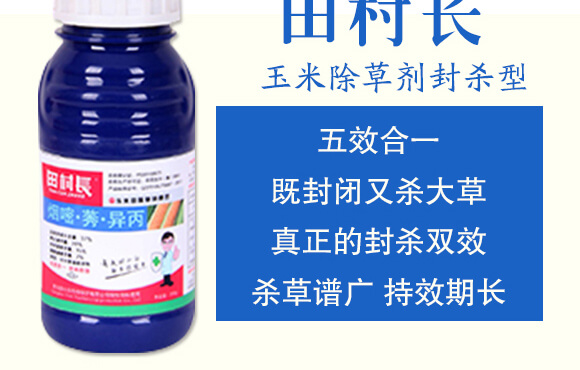 玉米除草劑封殺型—田村長(zhǎng)_04