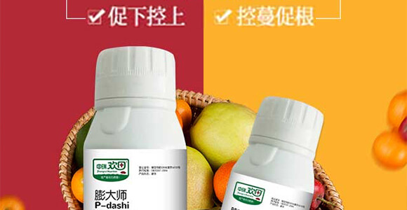 地下根莖膨大素-膨大師-中瑞歡田-中瑞利農(nóng)_02