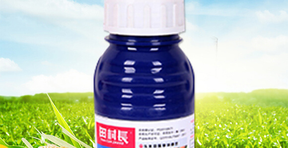 玉米除草劑封殺型—田村長(zhǎng)_02