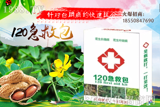 慈姑育苗方法有哪些？慈菇怎么移栽定植？