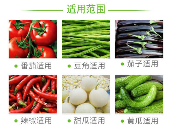 蚜虱片-茄果通用（西紅柿、茄子、黃瓜、辣椒、甜西瓜等）_07