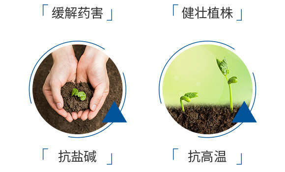 酶解魚(yú)蛋白溶漿（瓶）-優(yōu)米卡-爵利_06