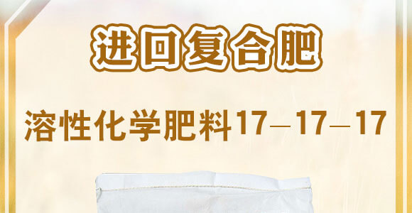 �M(j��n)�ڏ�(f��)�Ϸ�-�����Ի��W(xu��)����17-17-17SOP-KUDAMERAH���_(d��)÷��_01