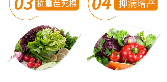 蛋白能量王-中植聯(lián)合_07