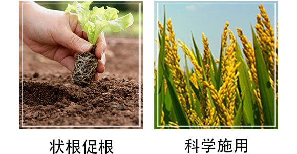 ����ֲ��ˮ�ܷ�-�W�{������-�W�{�r(n��ng)�I(y��)_05