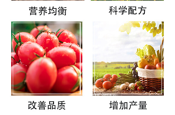 生物有機肥-豐農_05