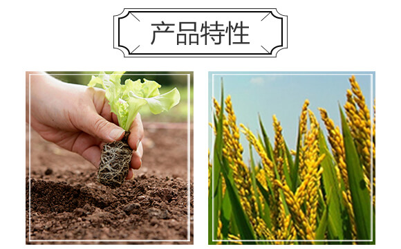 海藻腐殖酸型復(fù)合肥料18-18-18+TE-肥太子_04