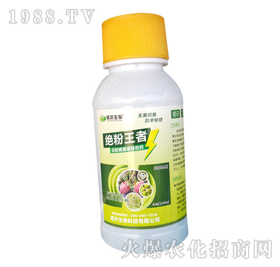 �S�ϰ׷۲��l(f��)����(y��n)�أ��Л]�кõķ������S�ϰ׷۲�ˎ�����]��