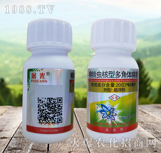 棉鈴蟲(chóng)核型多角體病毒殺什么蟲(chóng)？效果怎么樣？怎么選擇？